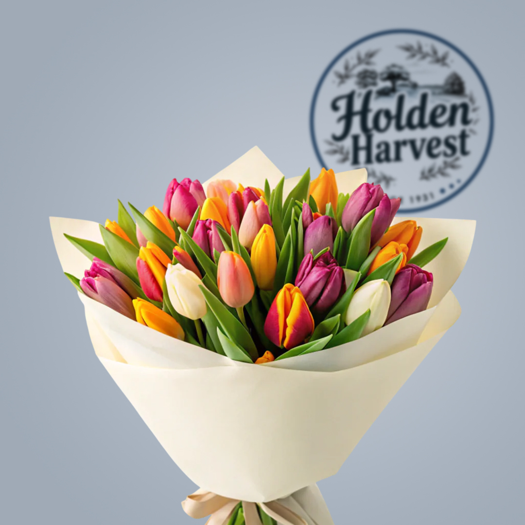 tulip-bouquet-colorfull
